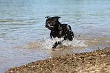 STAFFIE 193